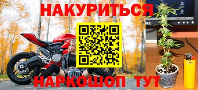 сатива Анжеро-Судженск