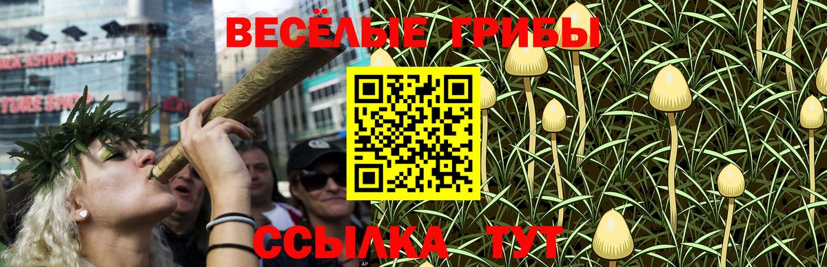 Псилоцибиновые грибы ЛСД Выборг