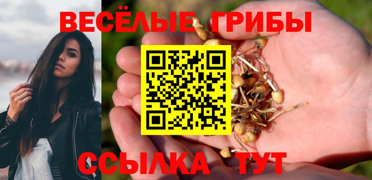 Выборг  Псилоцибиновые грибы GOLDEN TEACHER  Вход с VPN  Псилоцибиновые грибы Psilocybine cubensis 