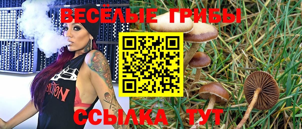 МАРИХУАНА Выборг